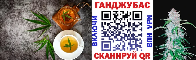 где купить наркоту  Пудож  Cannafood марихуана 