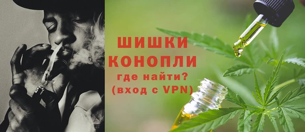 гашик Арсеньев
