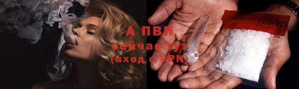 гашик Арсеньев
