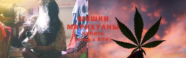 тгк Инта