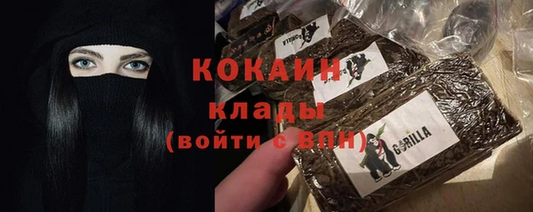 гашик Арсеньев