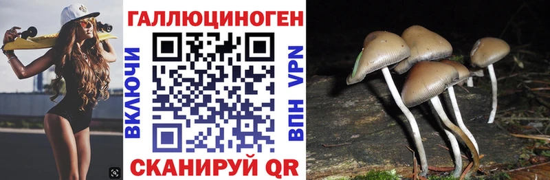 Галлюциногенные грибы MAGIC MUSHROOMS  наркошоп  Пудож 